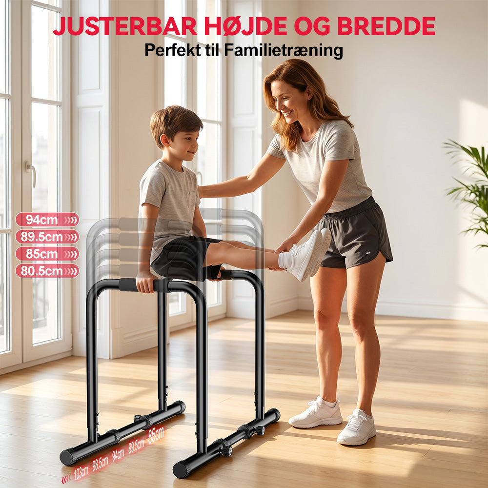 Parallel Barre Dip Station