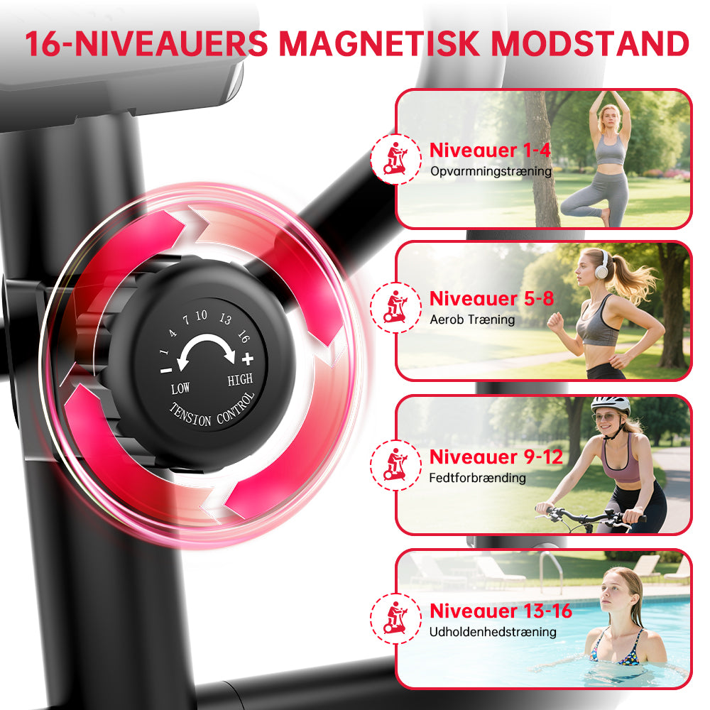 Elliptisk Maskine E200, 16-Niveauers Magnetisk Modstand