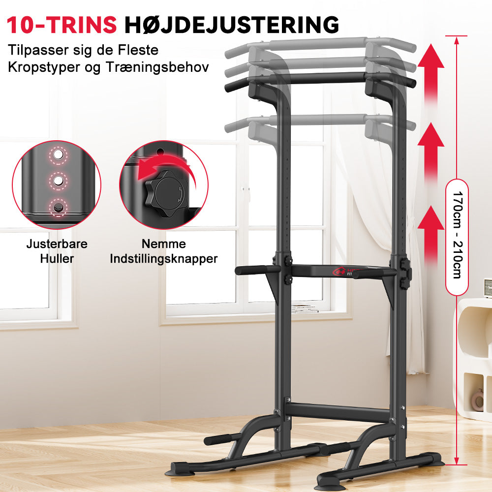 Power Tower Dip Station D1