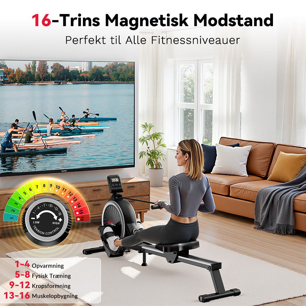 Magnetisk Romaskine, 16 Niveauer af Modstand