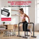 Parallel Barre Dip Station