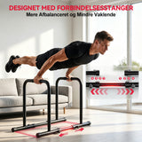 Parallel Barre Dip Station