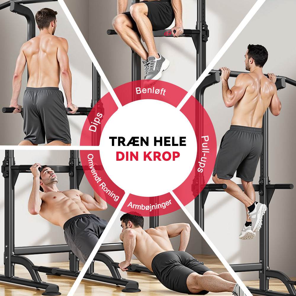 Power Tower Dip Station D1